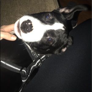 Meet your Posher, Lena